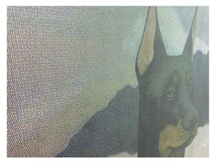 DOBERMAN NO.2【額装あり】